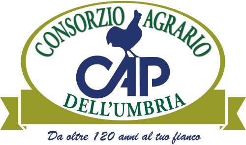CONSORZIO AGRARIO PERUGIA