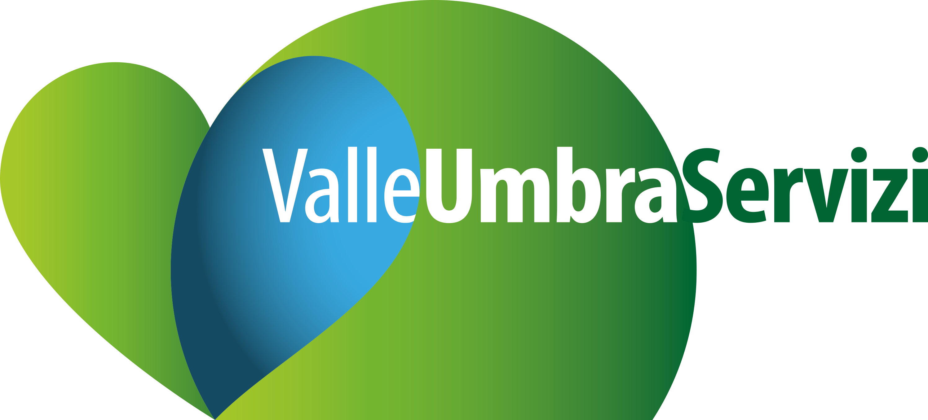 VALLE UMBRA SERVIZI (VUS)