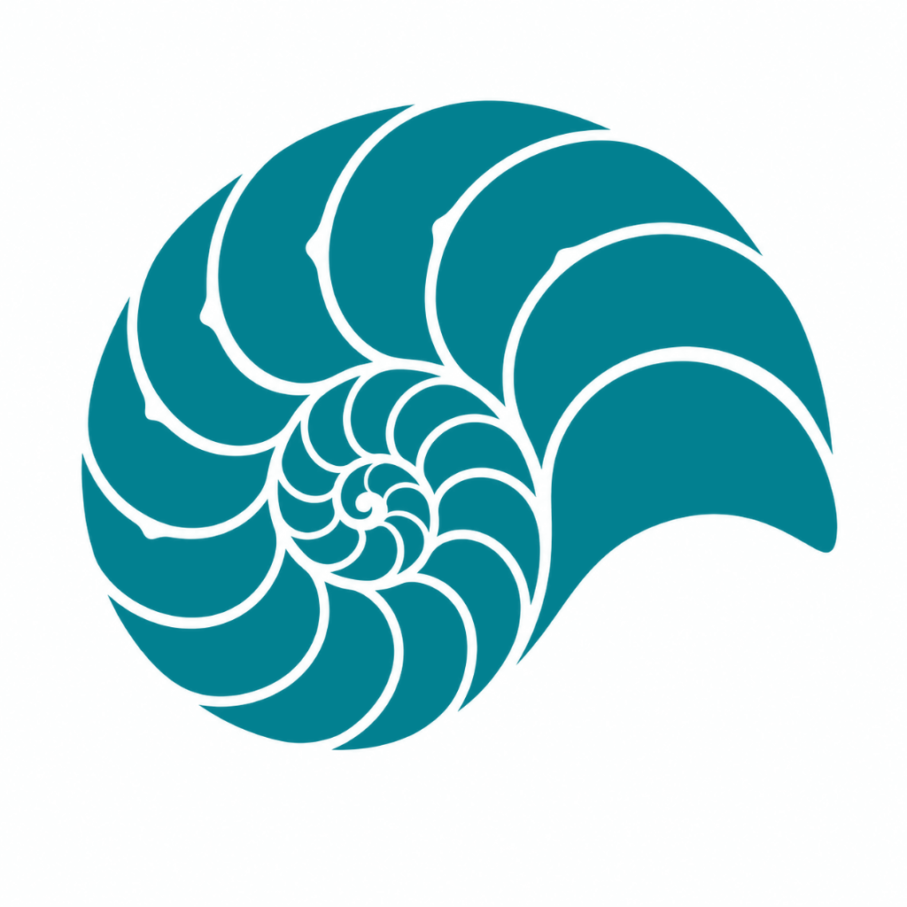 Conchiglia Nautilus EFFIGE - Ottimizzazione